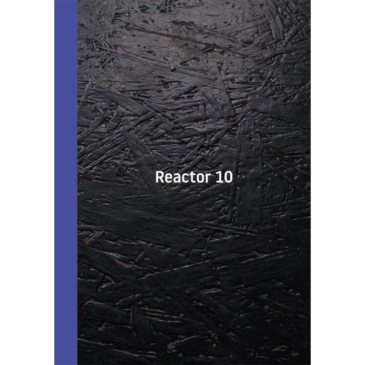 Reactor 10 - Ioana Hogman