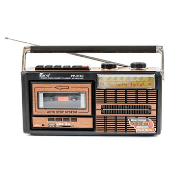 Radio casetofon portabil cu MP3 Player Fepe FP-319U, USB, SD card, AM/FM/SW1/SW2, culoare Negru-maro Radio casetofon portabil cu MP3 Player Fepe FP-319U, USB, SD card, AM/FM/SW1/SW2, culoare Negru-maro