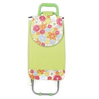 carucior pentru piatacumparaturi doua roti plastic cadru metalic 85x26x23 cm 43 litri - verde imagen 32_0_
0