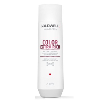 Goldwell Dualsenses Color Extra Rich Brilliance Shampoo 250 ml Goldwell Dualsenses Color Extra Rich Brilliance Shampoo 250 ml