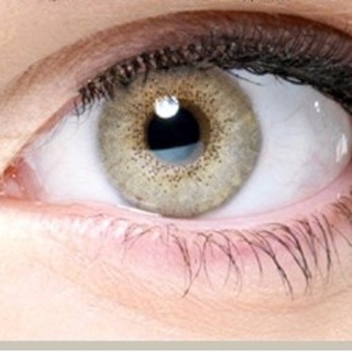 Цветни лещи Fashionlentilles NATURAL SOFT GRAY