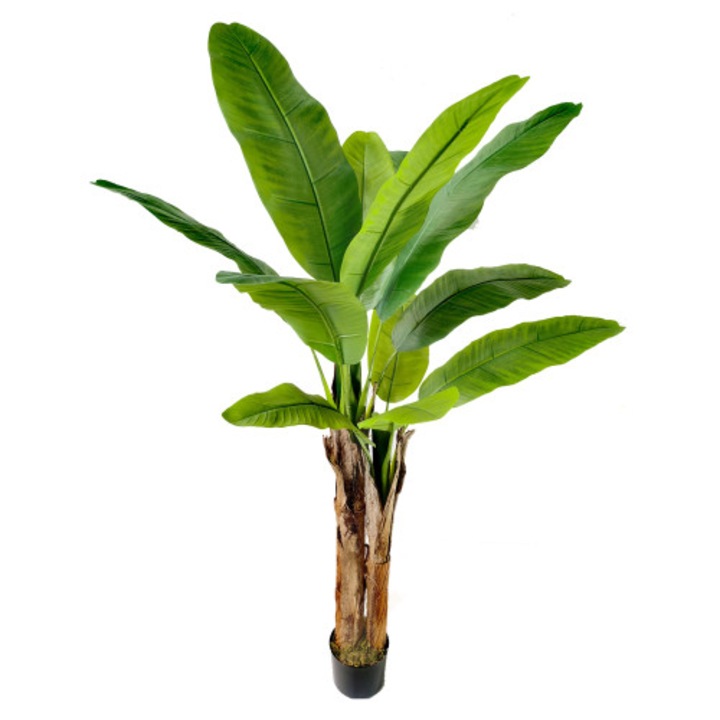 Bananier artificial cu doua trunchiuri 160cm