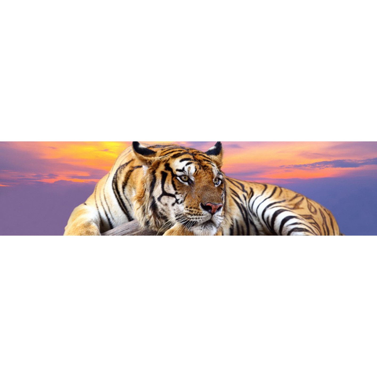 Panou decorativ DEGRETS 91026 Tigru 2 61 cm x 2.44 m x 3 mm