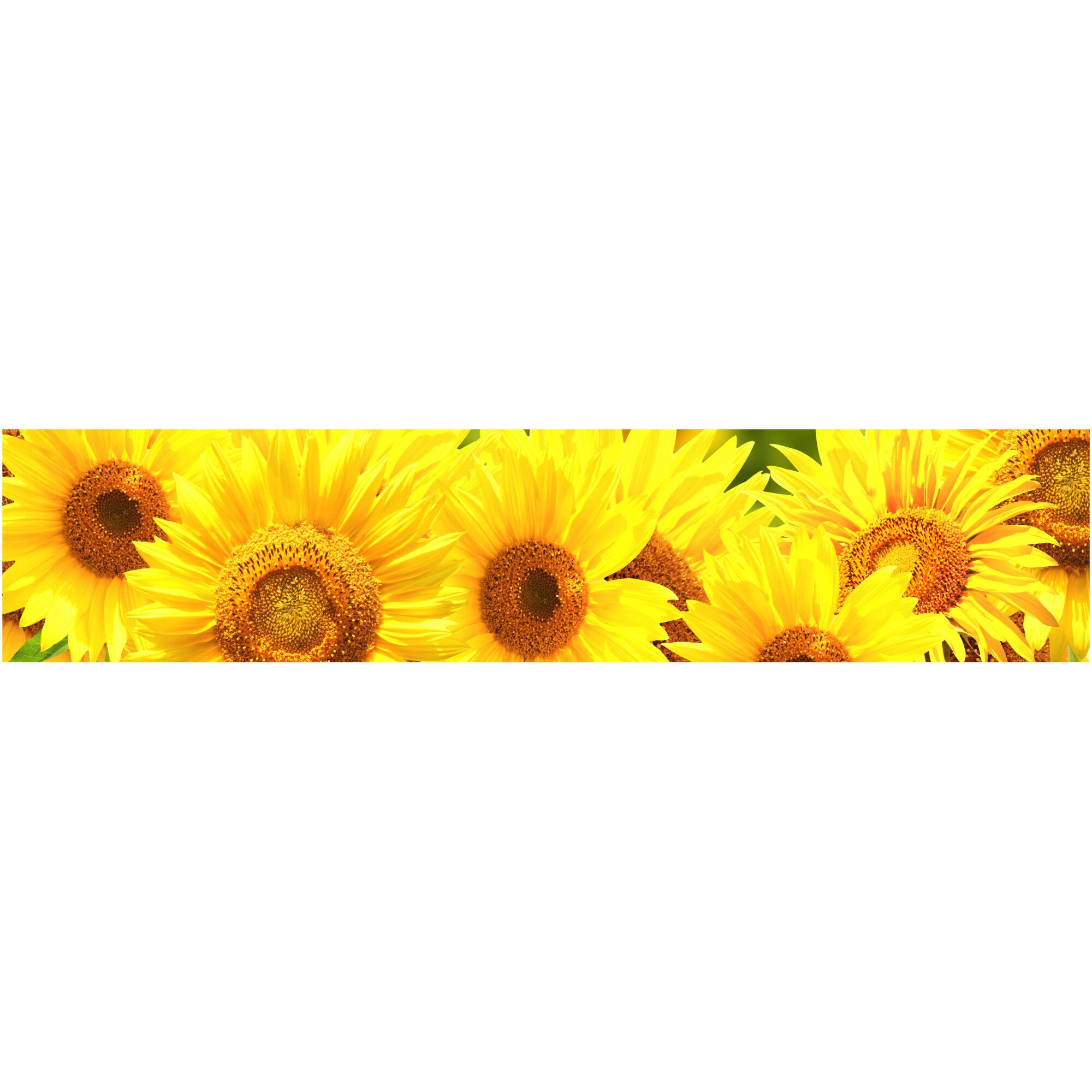 Panou decorativ DEGRETS 91511 Floarea soarelui 2 61 cm x 2.80 m x 6 mm