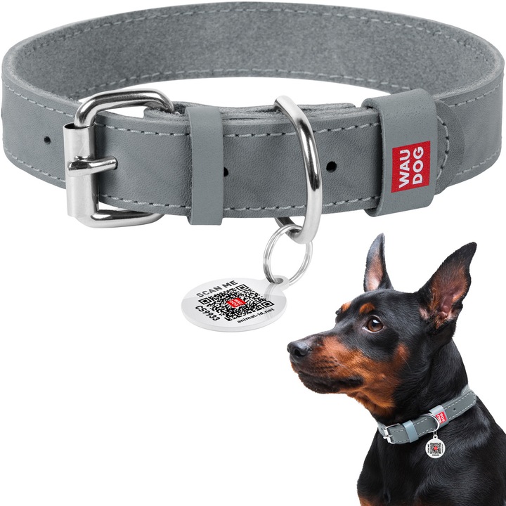 WAUDOG Klasszikus kutyanyakörv, természetes bőr, hossza 30-39 cm, szélessége 20 mm, szürke
