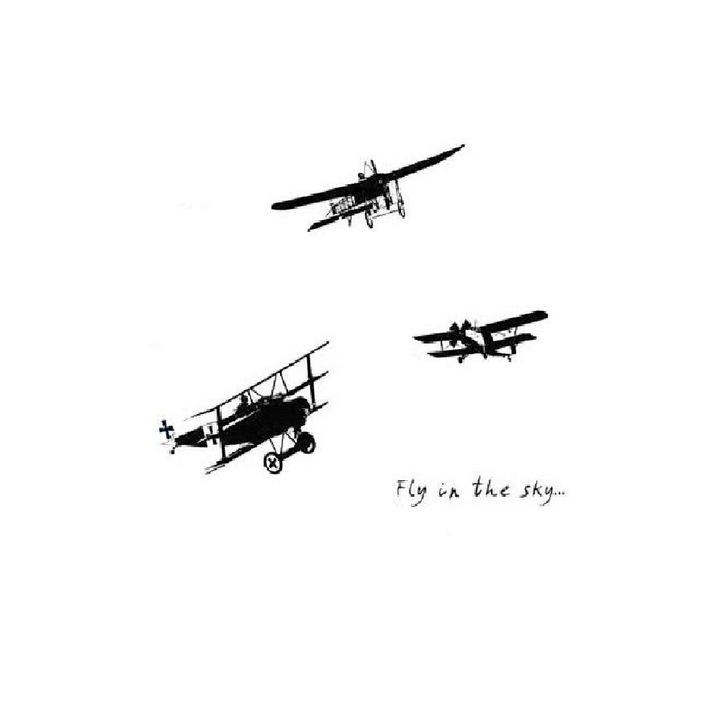 Repülős falmatrica