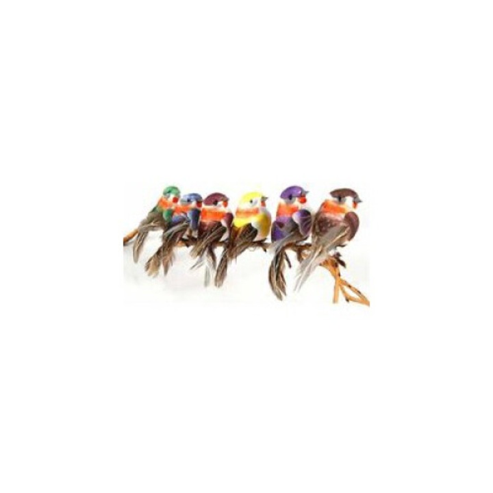 Set 12 pasari artificiale, Plastic, Multicolor