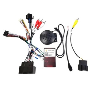 Accesorii electronice auto