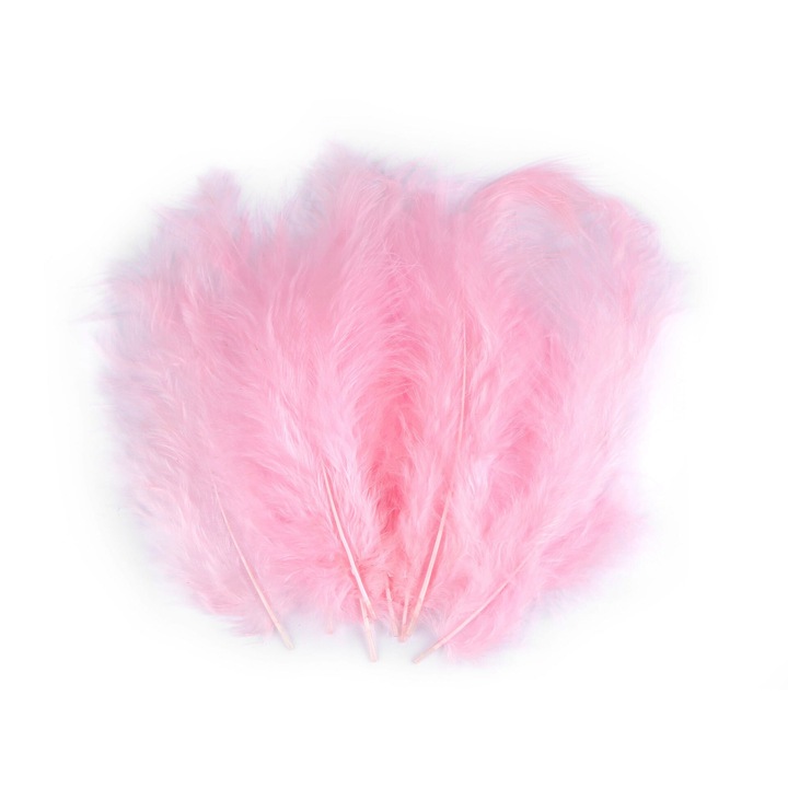 Pene strut, roz, set 20 bucati, 12x17cm