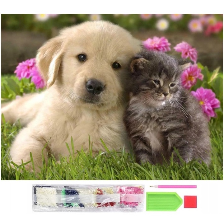 Set de broderie cu diamante 5D, model Pisica si caine, 30x40 cm, accesorii incluse, multicolor