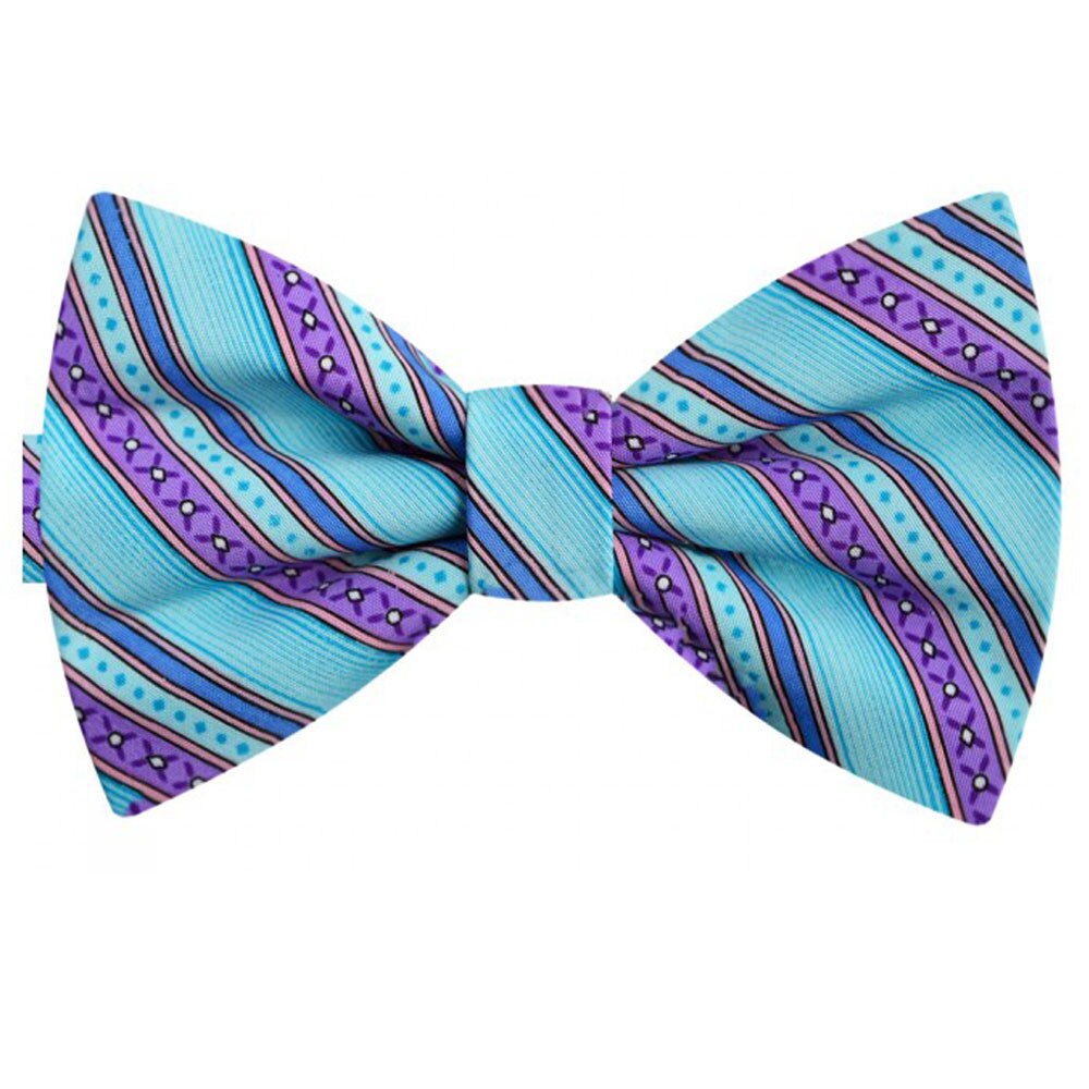 Papion albastru azuriu, dungi ametist, butterfly