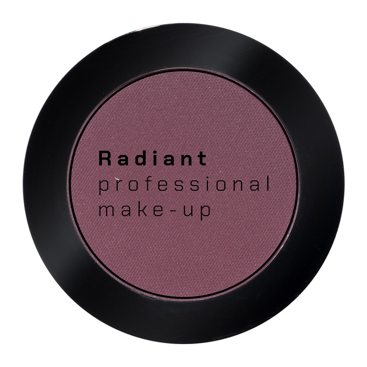 Fard de pleoape profesional Radiant, 4 gr, nuanta 297 Plum Brown