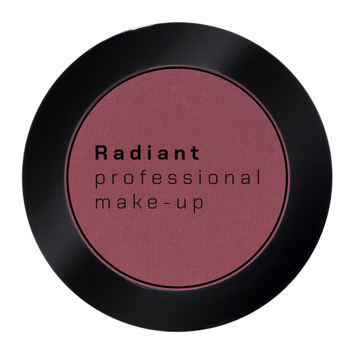 Fard de pleoape profesional Radiant, 4 gr, nuanta 299 Terracotta