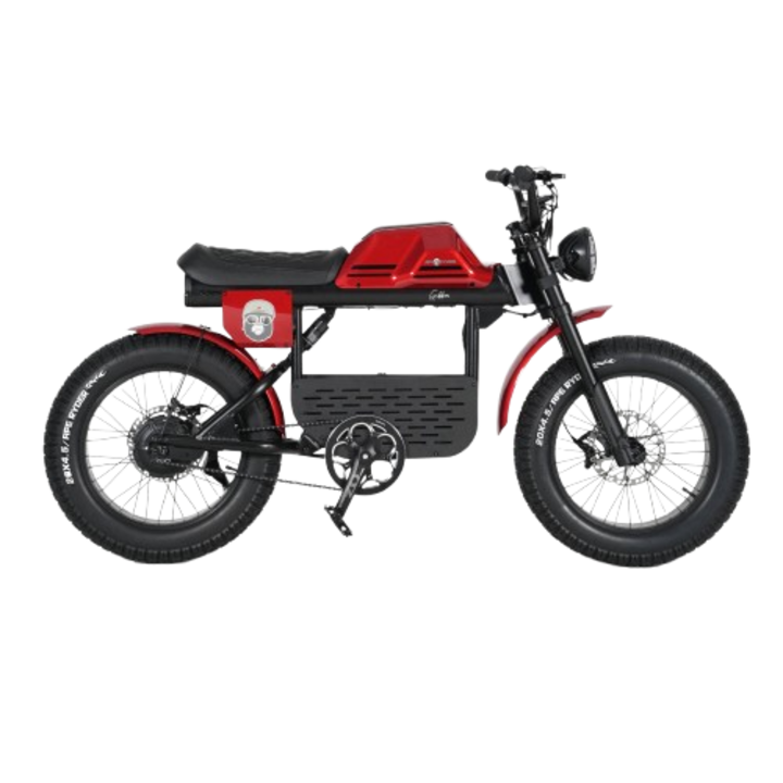 Bicicleta electrica Ape Ryder Gibbon, putere motor de 250 W, Viteza maxima 25KM/H, 70 km autonomie