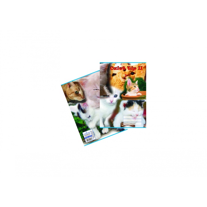 Notebook Type 2 Vega