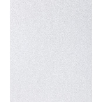 Tapet DEGRETS 018-30 vinil Gratie fundal alb sizes 0.53m x 10.05m = 5.3 sq.m. Tapet DEGRETS 018-30 vinil Gratie fundal alb sizes 0.53m x 10.05m = 5.3 sq.m.