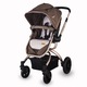 Carucior 2 in 1 DHS Baby COCCOLLE ORO, maro
