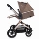 Carucior 2 in 1 DHS Baby COCCOLLE ORO, maro
