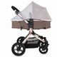 Carucior 2 in 1 DHS Baby COCCOLLE ORO, maro