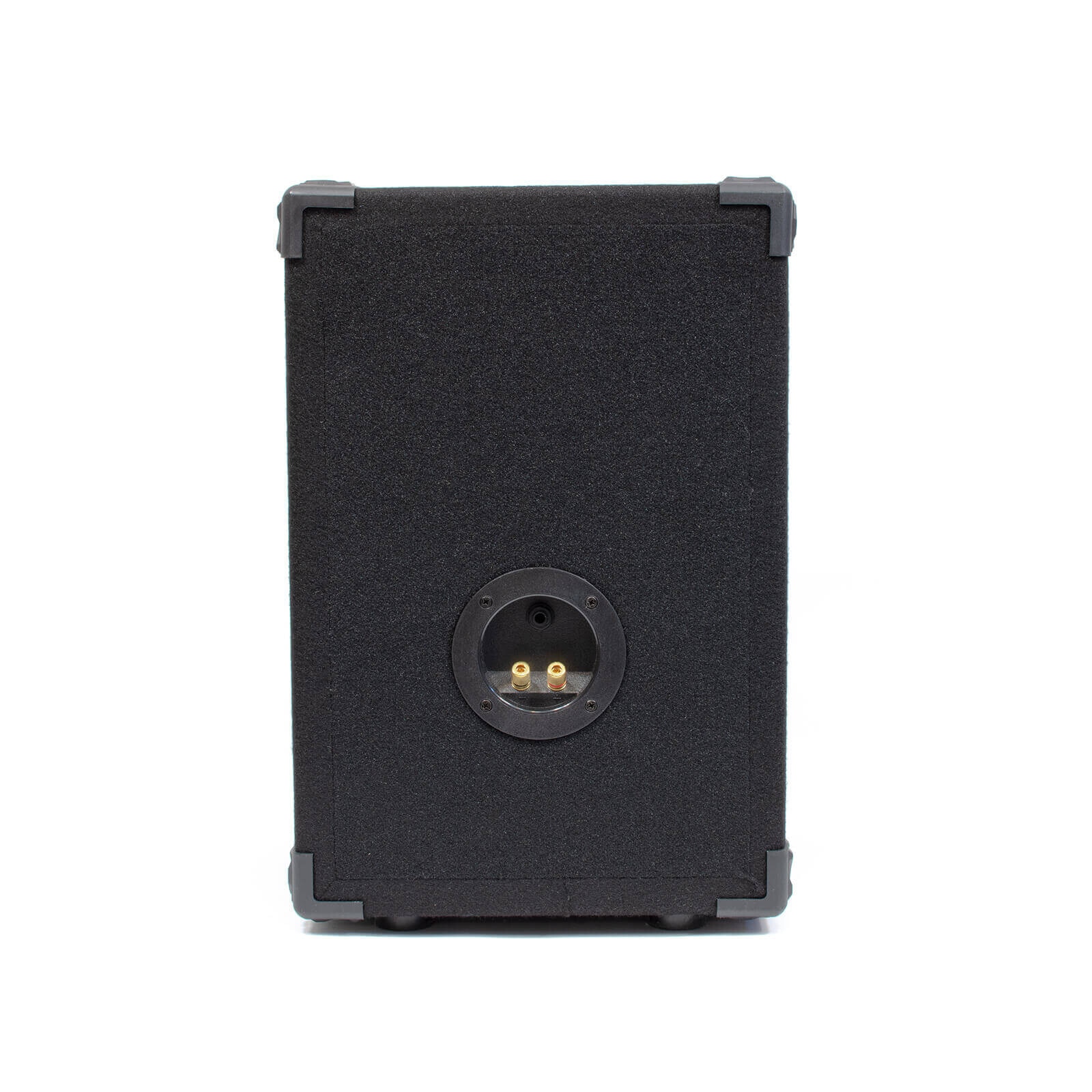 Difuzor pasiv ReVoLuTioN PARTY-10 250/500W (10″)