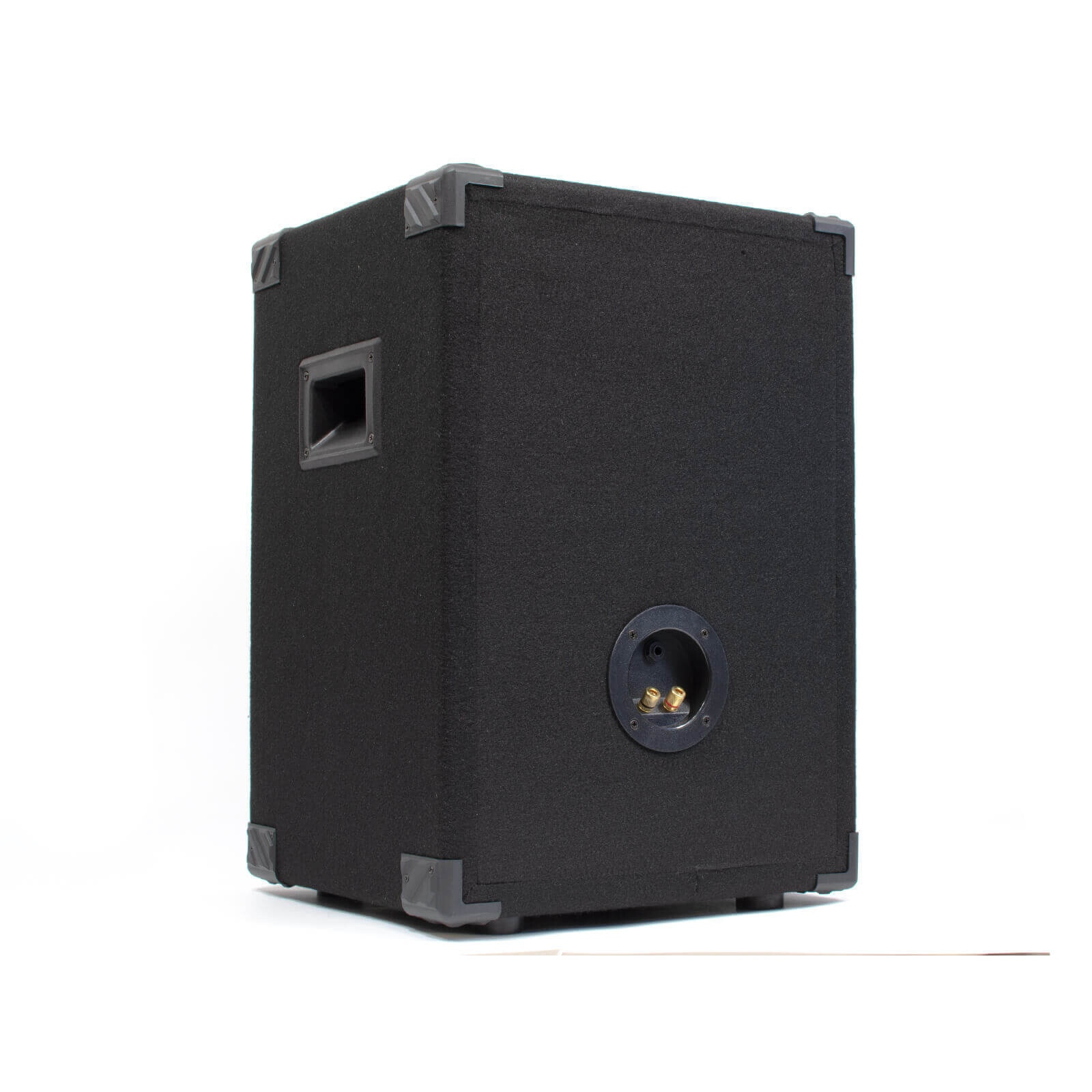 Difuzor pasiv ReVoLuTioN PARTY-12 350/700W (12″)