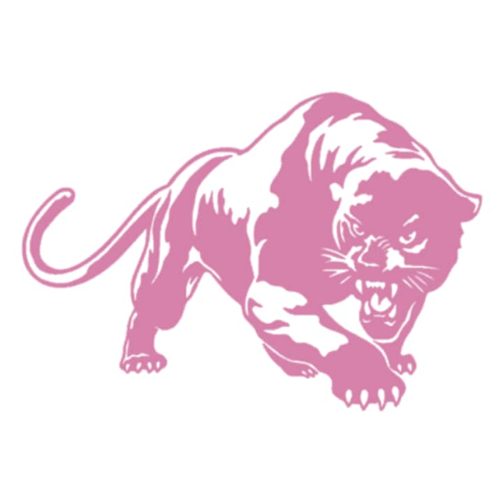 Sticker auto "Leopard" 20x13 cm, holografic