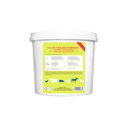Alimentația și Ingrășarea Porcilor De Carne Reguli și Sfaturi Utile