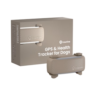 Dispozitiv monitorizare - Tractive DOG 6 – GPS pentru caini & monitorizarea sanatatii – maro