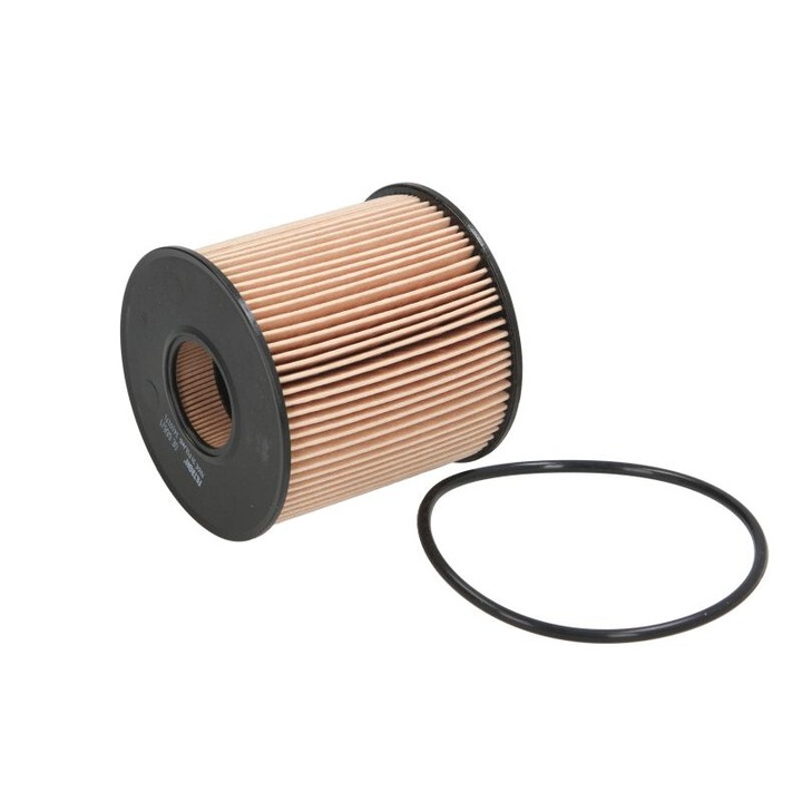 Filtru de ulei FILTRON Renault Avantime, Espace III, Espace IV, Laguna II, Master II, Trafic II, Vel Satis OE 666/1