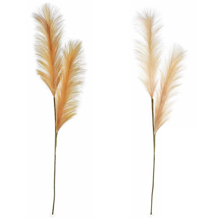 Set 8 flori Pampas artificial 105 cm