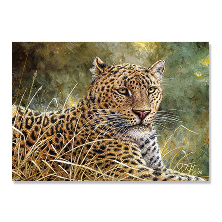 Tablou Canvas - Portretul Leopardului, 75 x 100 cm