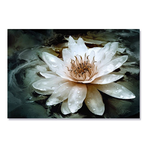 Tablou Canvas - Nufar, 80 x 120 cm