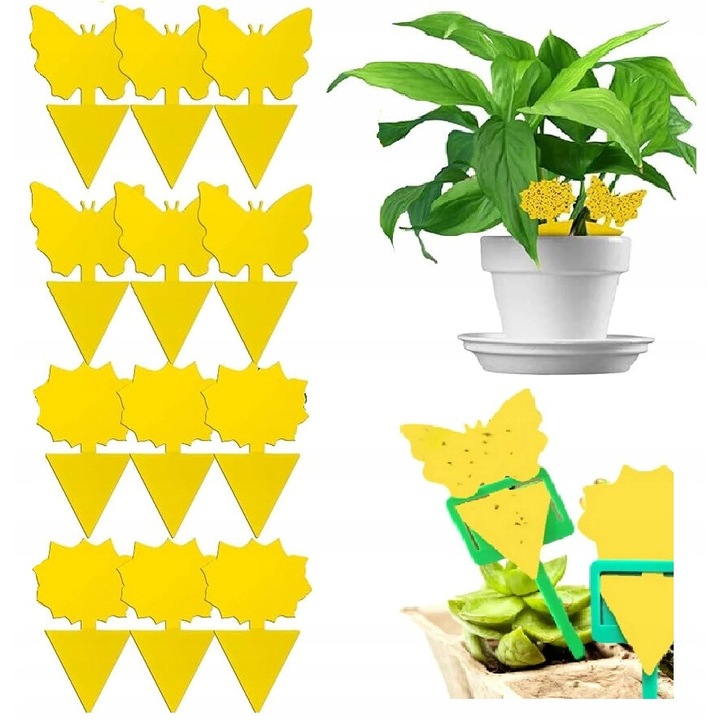 Stickere galbene, Insect Pots, pentru viermi de pamant si muste de fructe, set 12 bucati