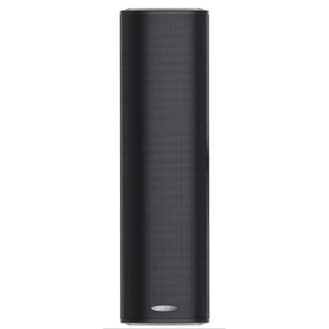 Boxa coloana 30W pe 100V DSPPA DSP255II, montaj exterior / interior, carcasa aluminiu, Waterproof, IP66, Negru