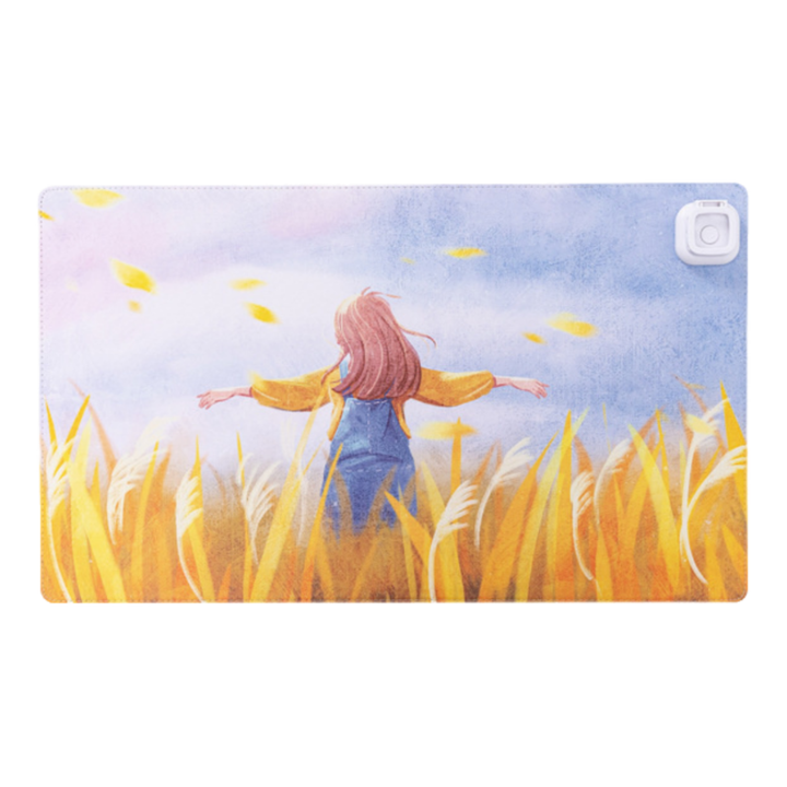 Mousepad incalzit, 36x60cm, ajustare temperatura cu doua viteze, oprire automata, cu suport pentru telefon mobil