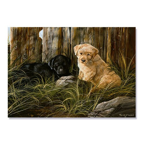 Tablou Canvas - Caini, 75 x 100 cm