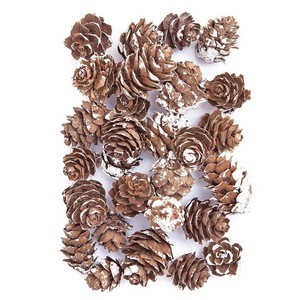 Accesorii decorative