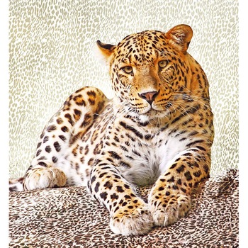 Fototapet DEGRETS 12-57 Leopard 207x192cm Fototapet DEGRETS 12-57 Leopard 207x192cm