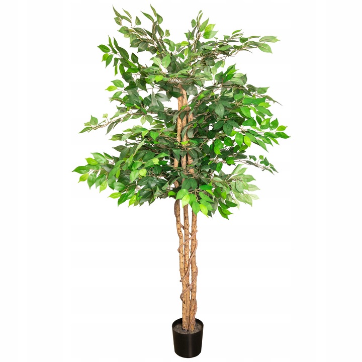 Ficus artificial Jumi, decorativa, in ghiveci, verde/maro, 190-200cm