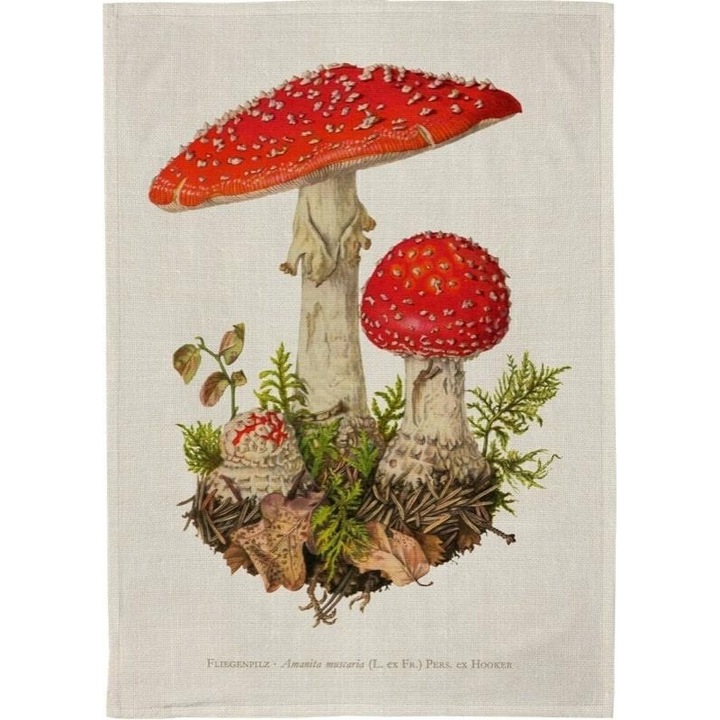 Prosop de bucatarie, Skona Ting, design colorat, 50x70cm