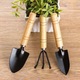 Set 3 unelte de gradinarit, maner din lemn, cap din fier, negru/natur