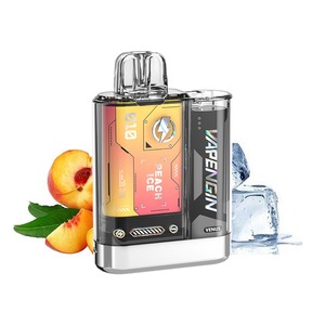 geekvape aegis solo 3 istruzioni Vuse GO 700 Peppermint Ice 20mg 2ml