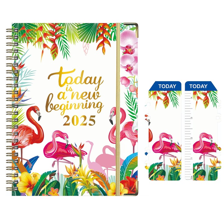 Agenda 2025, Enforose, multicolor, 21.7x15.8cm, cu pagini saptamanale si lunare