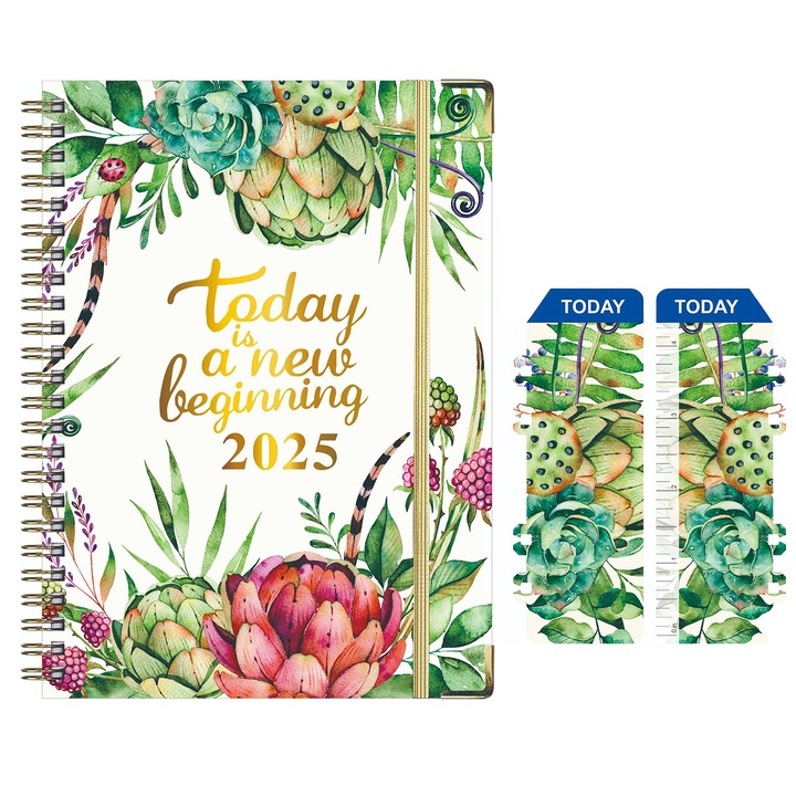 Agenda 2025, Enforose, planificare saptamanala si lunara, multicolor, 21.7x15.8cm