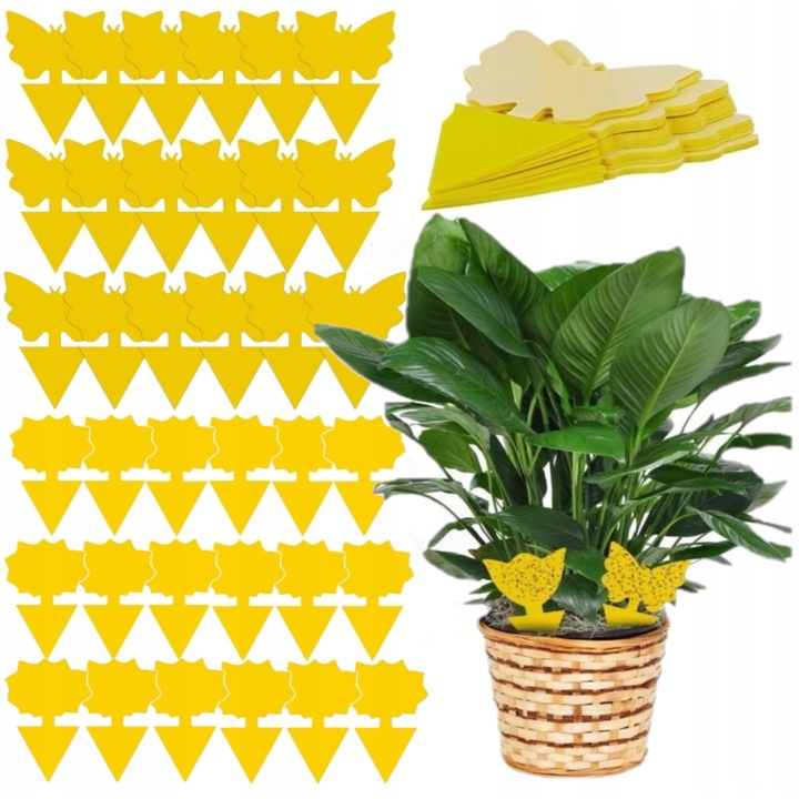 Stickere galbene, Insect Pots, pentru viermi de pamant si muste de fructe, set 36 bucati