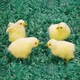 Set de 4 figurine, pui de gaina, de plus