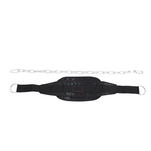 Aparatori si Protectii corporale