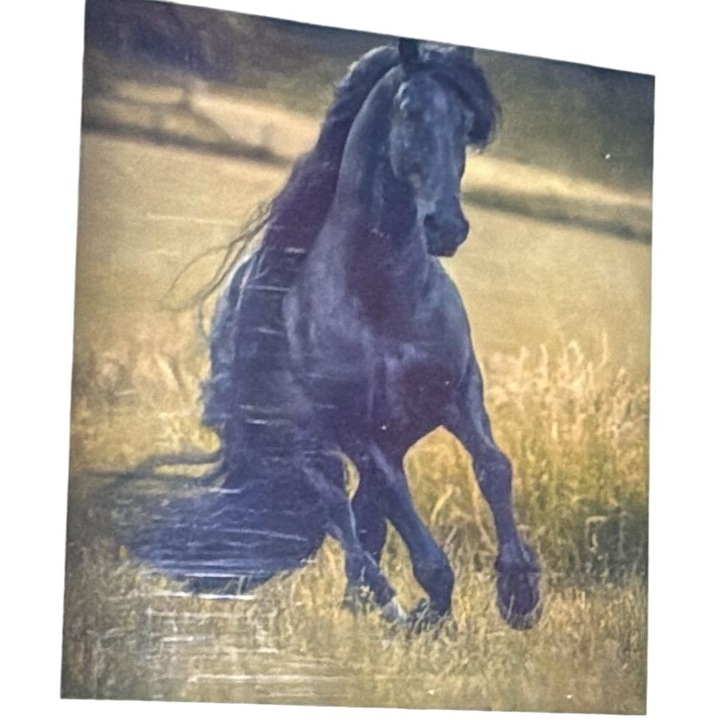 Tablou GLE73911 Goblen Diamante rotunde, 50 x 40 cm, Cal pur-sange negru