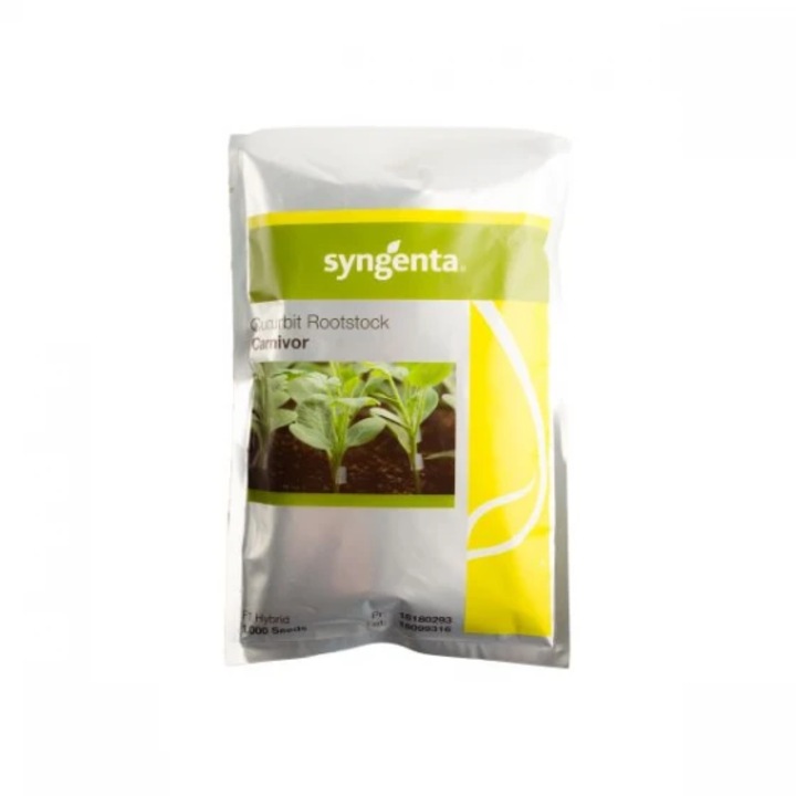 Seminte pepene verde Carnivor, 1000 seminte