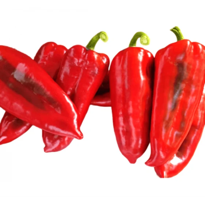 Seminte ardei kapia Tonton F1, 100 seminte